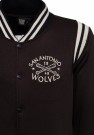 San Antonio Wolfes thumbnail